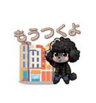 黒いマルプーくん（待ち合わせ）（個別スタンプ：16）