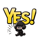 黒いマルプーくん（待ち合わせ）（個別スタンプ：24）