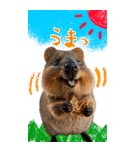 【BIG】クオッカワラビー（個別スタンプ：5）