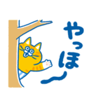 チャオ！とらねこ茶男のスタンプ（個別スタンプ：26）