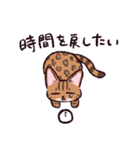 ベンガル猫です（個別スタンプ：31）