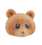 クマくま①（個別スタンプ：35）