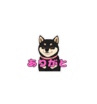 【毎日】使える黒柴犬の可愛いスタンプ2（個別スタンプ：11）