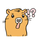 日常で使える！かわいいカピバラたち2（個別スタンプ：1）