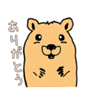 日常で使える！かわいいカピバラたち2（個別スタンプ：2）