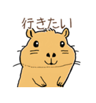 日常で使える！かわいいカピバラたち2（個別スタンプ：5）