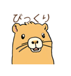 日常で使える！かわいいカピバラたち2（個別スタンプ：6）