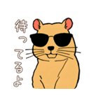 日常で使える！かわいいカピバラたち2（個別スタンプ：10）