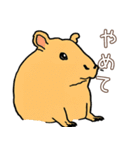日常で使える！かわいいカピバラたち2（個別スタンプ：14）