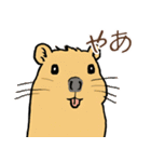 日常で使える！かわいいカピバラたち2（個別スタンプ：15）