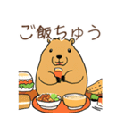 日常で使える！かわいいカピバラたち2（個別スタンプ：16）