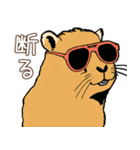 日常で使える！かわいいカピバラたち2（個別スタンプ：17）