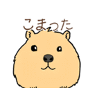 日常で使える！かわいいカピバラたち2（個別スタンプ：18）