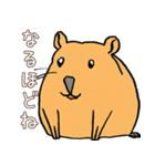 日常で使える！かわいいカピバラたち2（個別スタンプ：20）