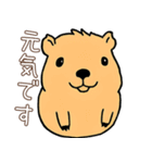 日常で使える！かわいいカピバラたち2（個別スタンプ：22）