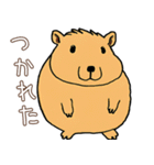 日常で使える！かわいいカピバラたち2（個別スタンプ：25）