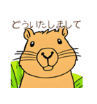 日常で使える！かわいいカピバラたち2（個別スタンプ：28）