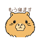 日常で使える！かわいいカピバラたち2（個別スタンプ：30）