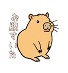 日常で使える！かわいいカピバラたち2（個別スタンプ：32）