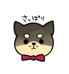 ポメチワのポアロ！（個別スタンプ：6）