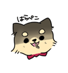 ポメチワのポアロ！（個別スタンプ：9）