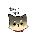 ポメチワのポアロ！（個別スタンプ：13）