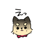 ポメチワのポアロ！（個別スタンプ：15）