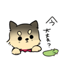 ポメチワのポアロ！（個別スタンプ：20）