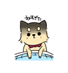 ポメチワのポアロ！（個別スタンプ：22）