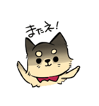 ポメチワのポアロ！（個別スタンプ：24）