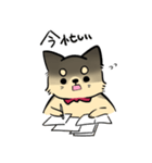 ポメチワのポアロ！（個別スタンプ：27）