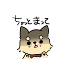 ポメチワのポアロ！（個別スタンプ：30）