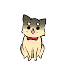 ポメチワのポアロ！（個別スタンプ：32）