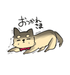 ポメチワのポアロ！（個別スタンプ：33）