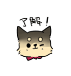 ポメチワのポアロ！（個別スタンプ：34）
