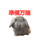 アディオス アミーゴ（個別スタンプ：3）