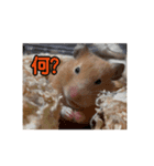 アディオス アミーゴ（個別スタンプ：5）