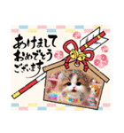 ラブリーキャット⑩。（個別スタンプ：24）