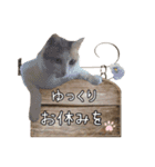 猫が伝言（個別スタンプ：13）