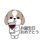 シーズー＆ワイン Shih Tzu and red wine（個別スタンプ：31）