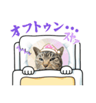 関西弁っぽいさくら猫（個別スタンプ：40）