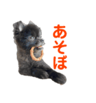 COAH（個別スタンプ：6）