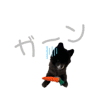 COAH（個別スタンプ：15）