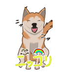 かわいい柴犬ちゃんのスタンプ（個別スタンプ：4）