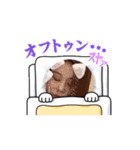 うわさのりさちゃん（個別スタンプ：1）