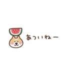 柴犬の1年中使える省スペース（個別スタンプ：31）