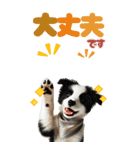 BIGスタンプ ボーダーコリーの子犬（個別スタンプ：7）