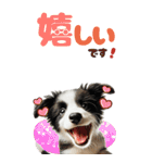 BIGスタンプ ボーダーコリーの子犬（個別スタンプ：8）