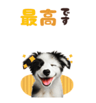 BIGスタンプ ボーダーコリーの子犬（個別スタンプ：22）