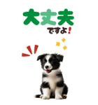 BIGスタンプ ボーダーコリーの子犬（個別スタンプ：27）